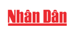 VIETNAM MEDIPHARM
